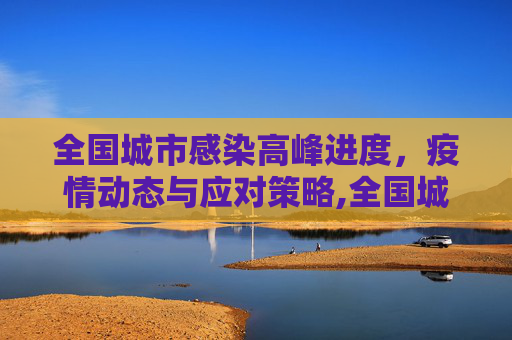 全国城市感染高峰进度，疫情动态与应对策略,全国城市感染高峰进度