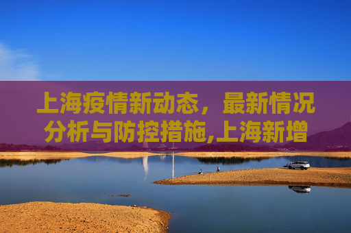 上海疫情新动态，最新情况分析与防控措施,上海新增疫情最新情况
