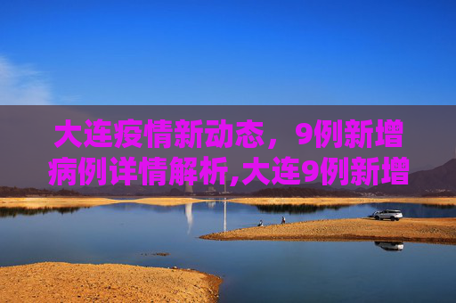 大连疫情新动态，9例新增病例详情解析,大连9例新增病例详情