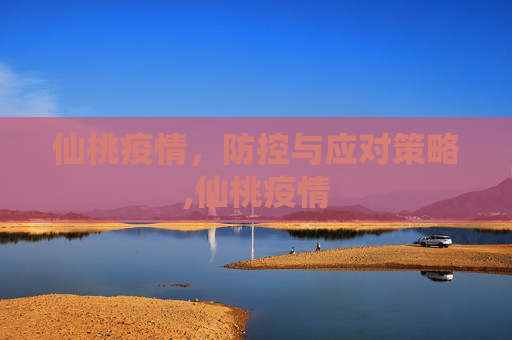 仙桃疫情，防控与应对策略,仙桃疫情