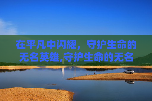 在平凡中闪耀，守护生命的无名英雄,守护生命的无名英雄