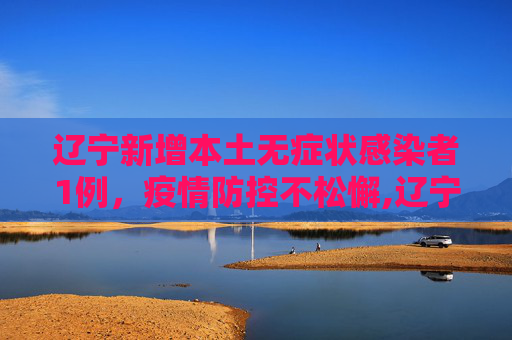 辽宁新增本土无症状感染者1例，疫情防控不松懈,辽宁新增本土无症状1例