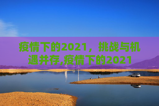 疫情下的2021，挑战与机遇并存,疫情下的2021