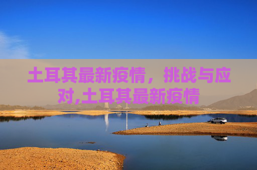 土耳其最新疫情，挑战与应对,土耳其最新疫情