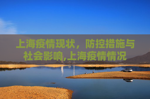 上海疫情现状，防控措施与社会影响,上海疫情情况