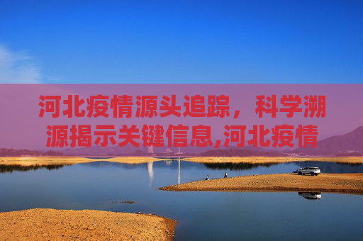 河北疫情源头追踪，科学溯源揭示关键信息,河北疫情源头已找到
