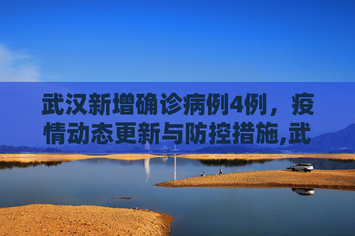 武汉新增确诊病例4例，疫情动态更新与防控措施,武汉新增确诊病例4例