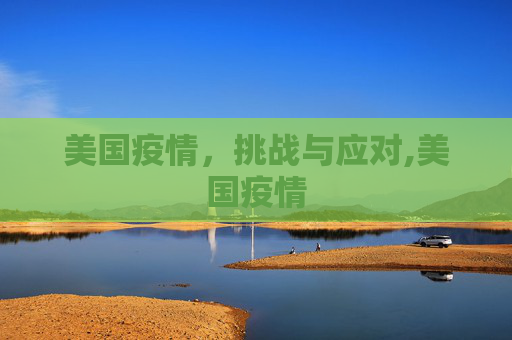 美国疫情，挑战与应对,美国疫情