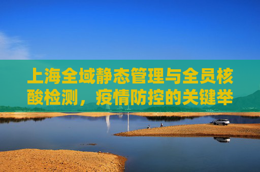 上海全域静态管理与全员核酸检测，疫情防控的关键举措,上海全域静态管理全员核酸