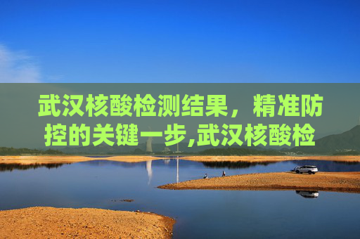 武汉核酸检测结果，精准防控的关键一步,武汉核酸检测结果