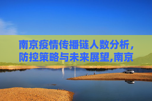 南京疫情传播链人数分析，防控策略与未来展望,南京疫情传播链人数