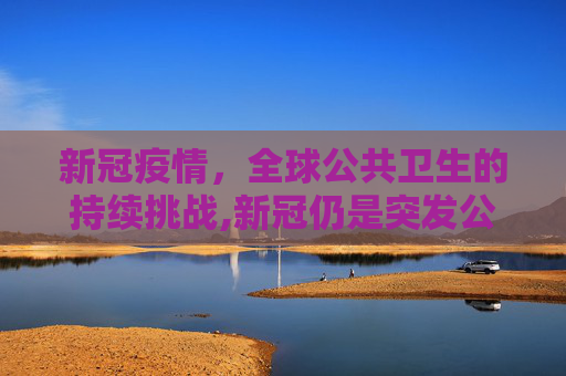 新冠疫情，全球公共卫生的持续挑战,新冠仍是突发公共卫生事件
