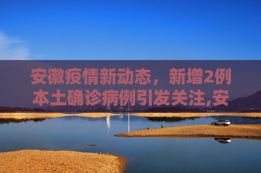 安徽疫情新动态，新增2例本土确诊病例引发关注,安徽新增2本土确诊