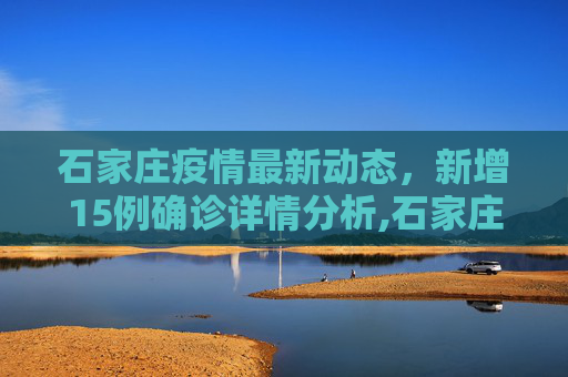 石家庄疫情最新动态，新增15例确诊详情分析,石家庄新增15例确诊详情