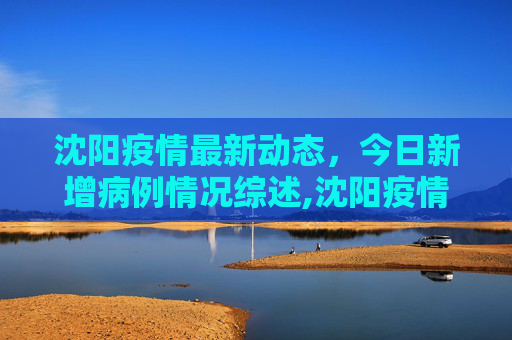 沈阳疫情最新动态，今日新增病例情况综述,沈阳疫情最新消息今天新增病例
