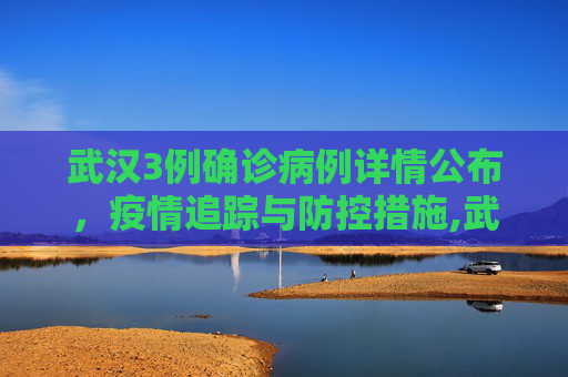 武汉3例确诊病例详情公布，疫情追踪与防控措施,武汉3例确诊病例详情公布