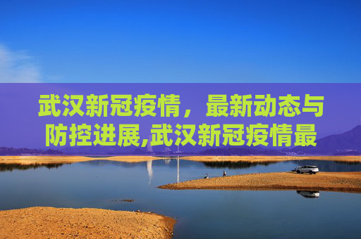 武汉新冠疫情，最新动态与防控进展,武汉新冠疫情最新消息