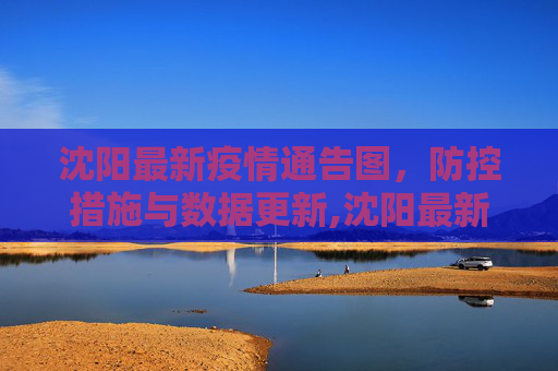 沈阳最新疫情通告图，防控措施与数据更新,沈阳最新疫情发布通告图