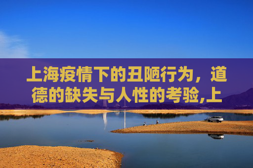 上海疫情下的丑陋行为，道德的缺失与人性的考验,上海疫情下的丑陋行为