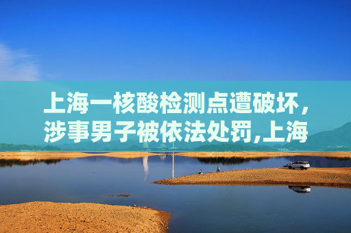 上海一核酸检测点遭破坏，涉事男子被依法处罚,上海一核酸点被砸涉事男子被处罚