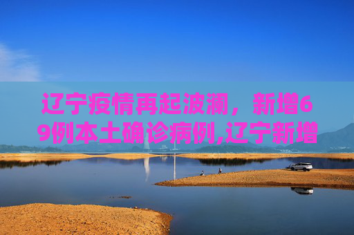 辽宁疫情再起波澜，新增69例本土确诊病例,辽宁新增69例本土确诊