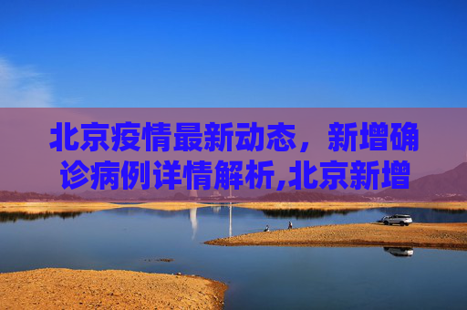 北京疫情最新动态，新增确诊病例详情解析,北京新增确诊病例详情