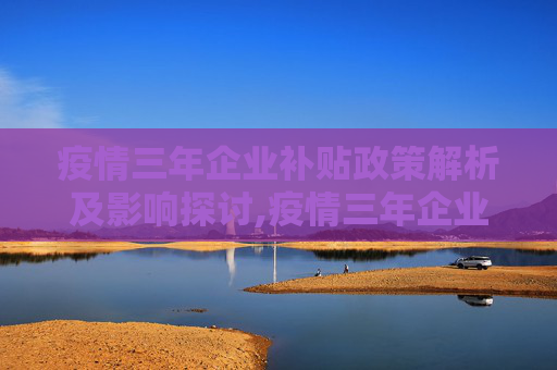 疫情三年企业补贴政策解析及影响探讨,疫情三年企业补贴政策解析及影响探讨