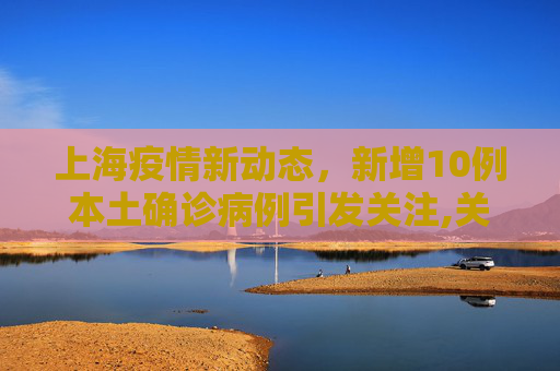 上海疫情新动态，新增10例本土确诊病例引发关注,关于上海新增10例本土确诊病例的信息