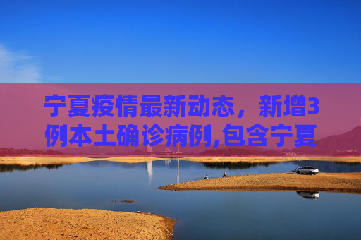 宁夏疫情最新动态，新增3例本土确诊病例,包含宁夏新增3例本土确诊的词条