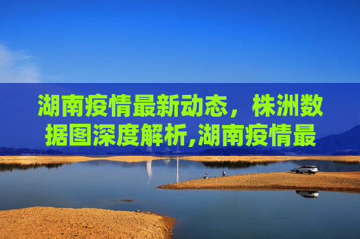 湖南疫情最新动态，株洲数据图深度解析,湖南疫情最新株洲数据图