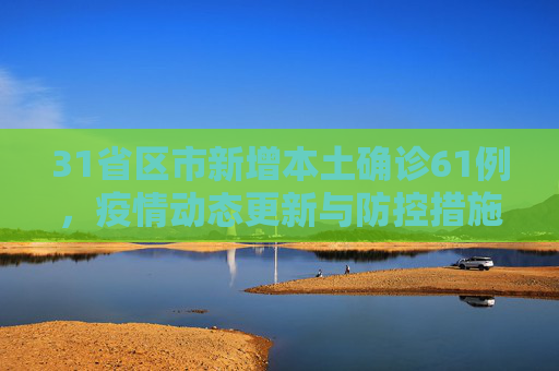 31省区市新增本土确诊61例，疫情动态更新与防控措施,31省区市新增本土确诊61例