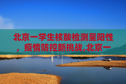 北京一学生核酸检测呈阳性，疫情防控新挑战,北京一学生核检阳性