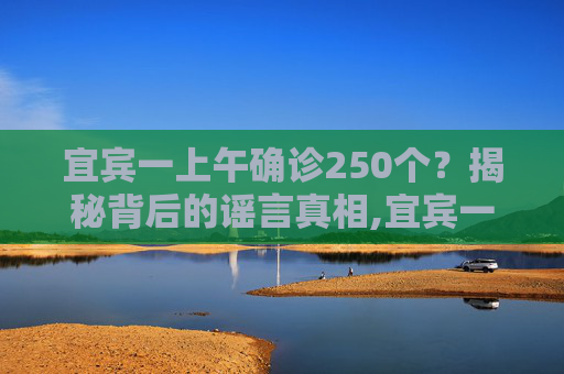 宜宾一上午确诊250个？揭秘背后的谣言真相,宜宾一上午确诊250个?谣言