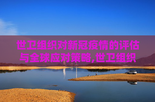世卫组织对新冠疫情的评估与全球应对策略,世卫组织谈新冠疫情