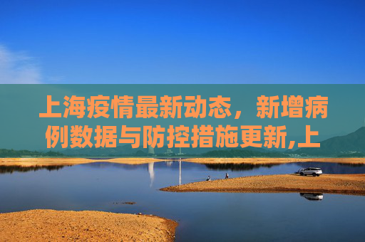 上海疫情最新动态，新增病例数据与防控措施更新,上海疫情最新数据消息新增