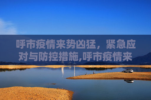呼市疫情来势凶猛，紧急应对与防控措施,呼市疫情来势凶猛